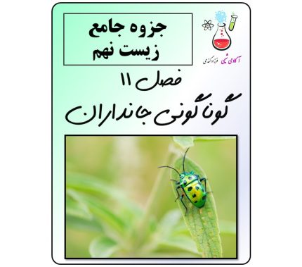 جزوه فصل 11 علوم تجربی نهم
