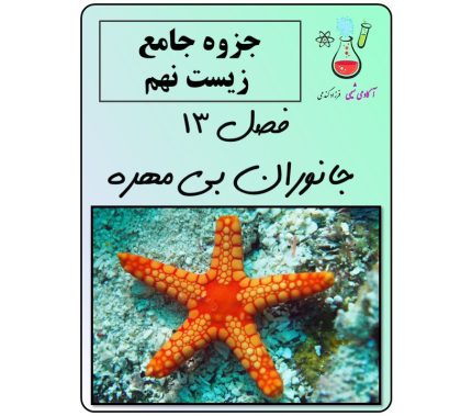 جزوه فصل 13 علوم تجربی نهم