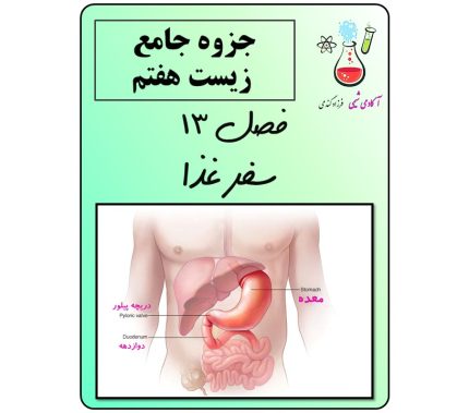 جزوه علوم هفتم فصل 13 سفر غذا