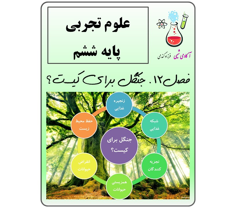 جزوه علوم ششم فصل 12 جنگل
