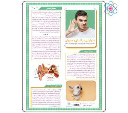 پوستر آموزشی شنوایی