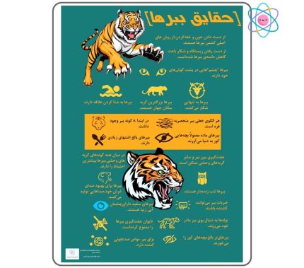 پوستر آموزشی حقایق ببرها