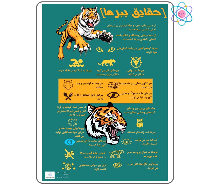 پوستر آموزشی حقایق ببرها