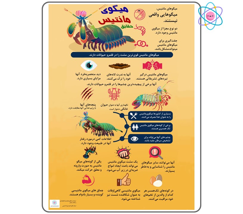 پوستر آموزشی میگوی مانتیس